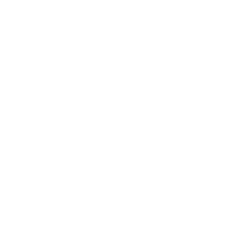 WhatsApp Icon in weiß